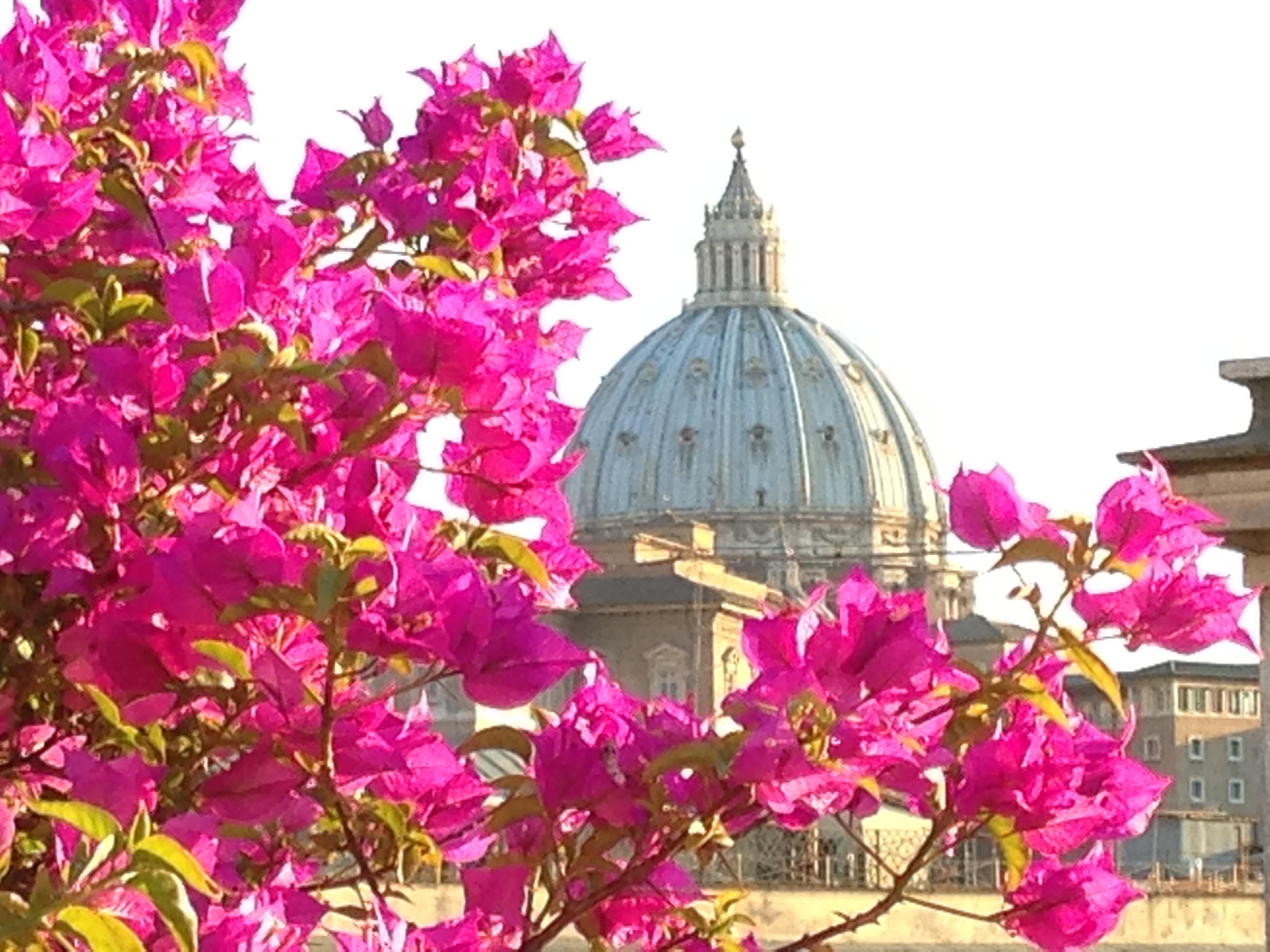 Hotel Dei Consoli Vaticano Рим Екстер'єр фото